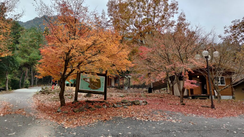 間近で紅葉を堪能出来る【兵庫・丹波市】丹波悠遊の森キャンプ場